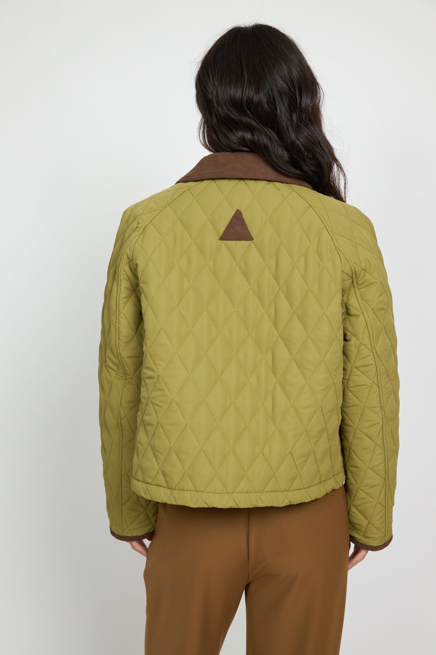 Barbour azeitona