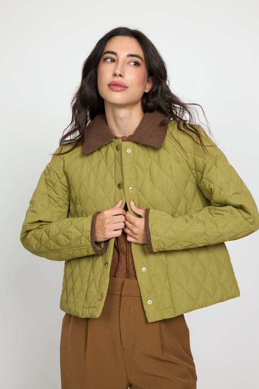 Barbour azeitona