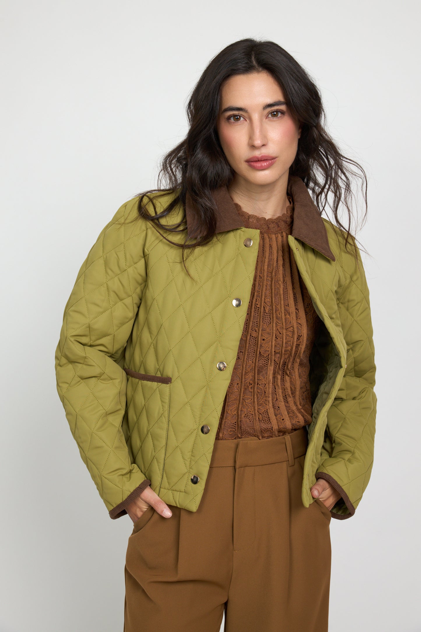 Barbour azeitona