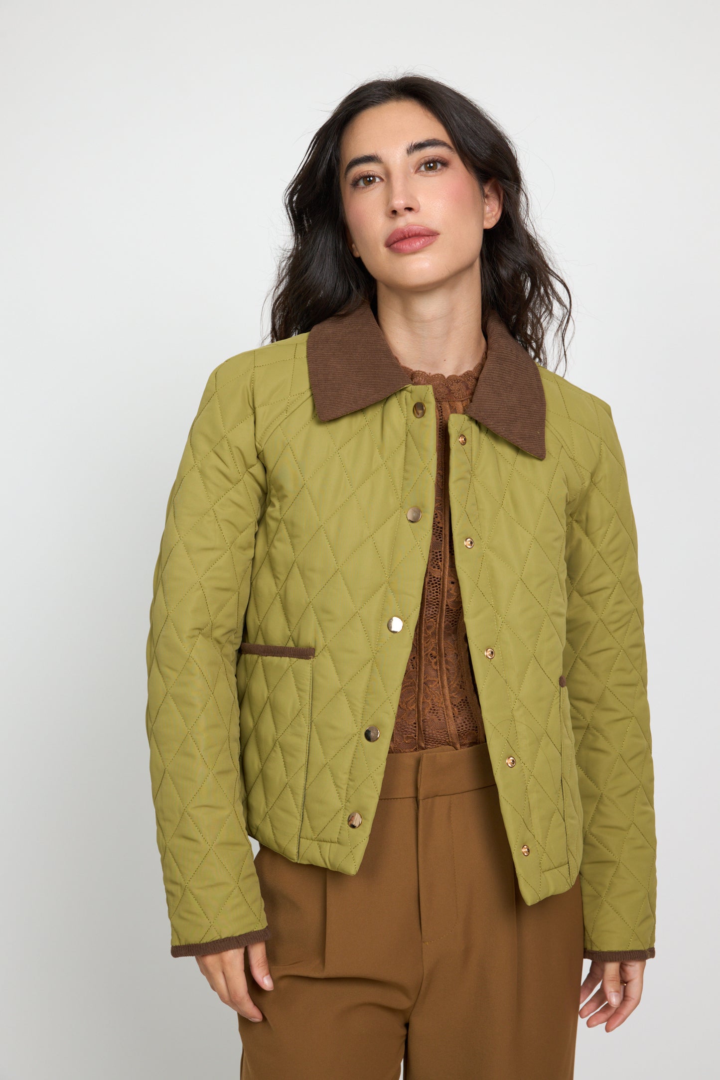 Barbour azeitona