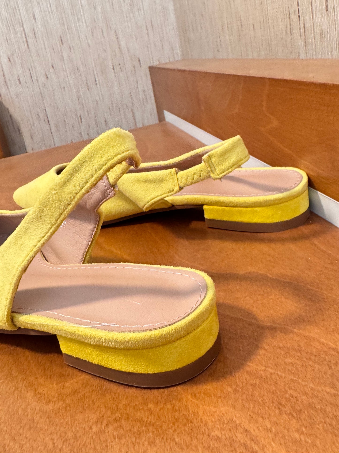 Rasas yellow